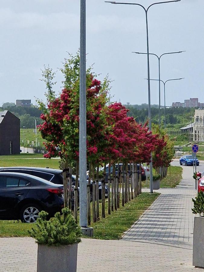 Apartamentai Ragaines Self Chec-In Free Parking Klaipeda Luaran gambar
